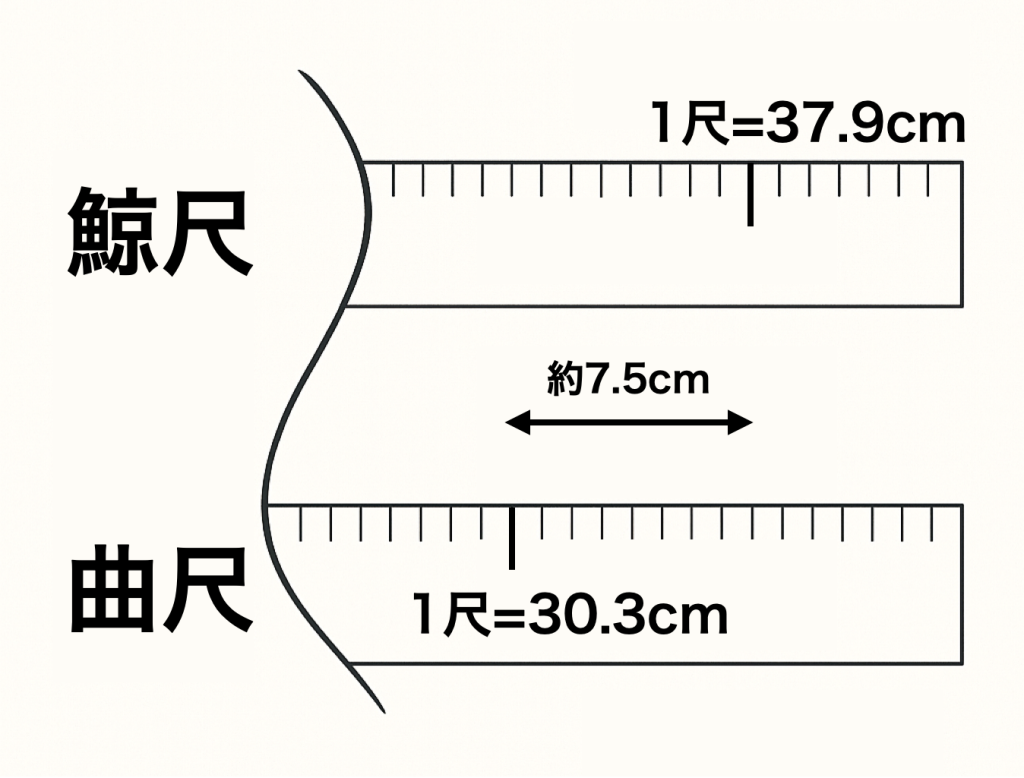 鯨尺とは？意味・曲尺との違い・歴史・使い方まで完全解説 | きものレシピ